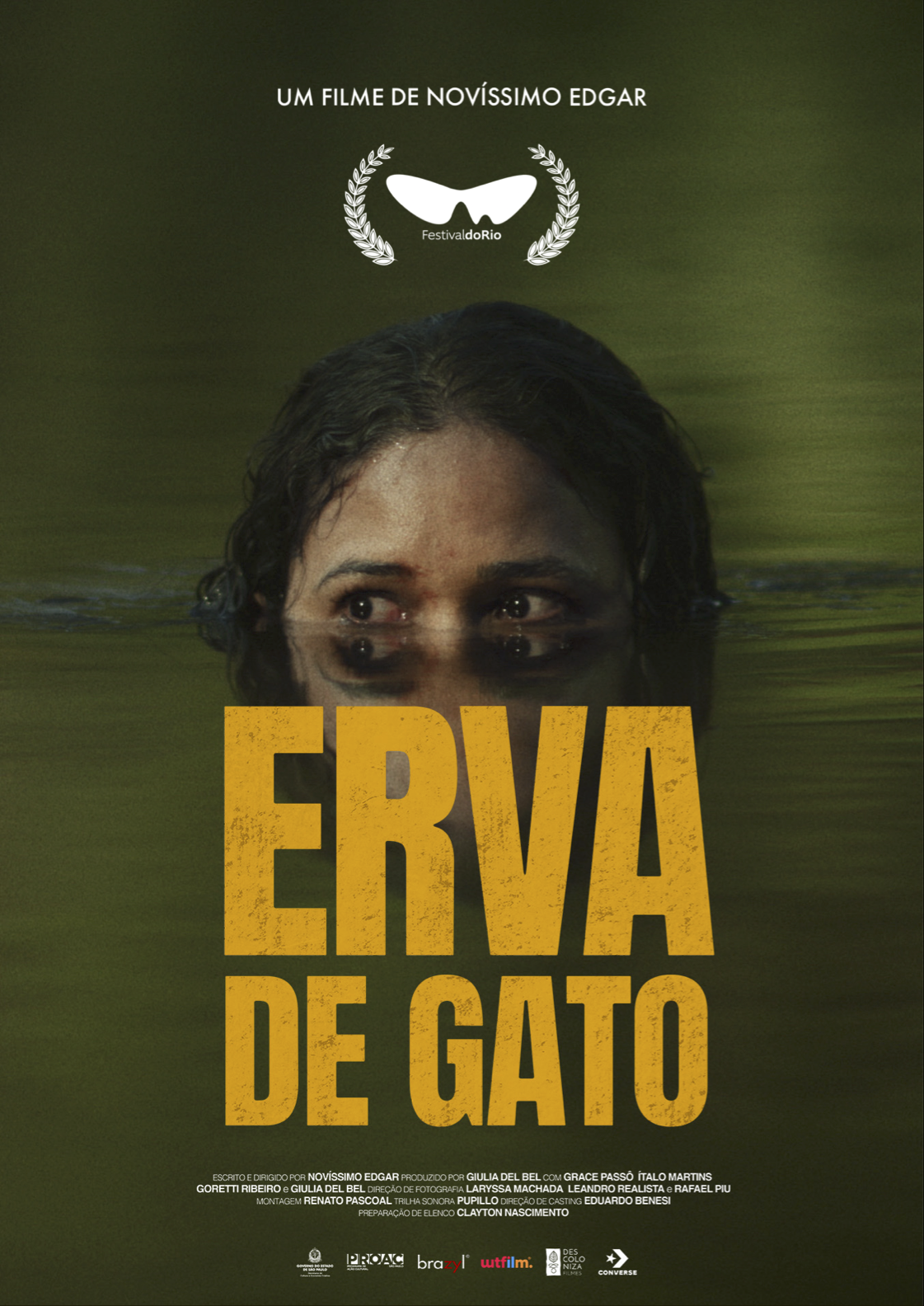 Erva de Gato