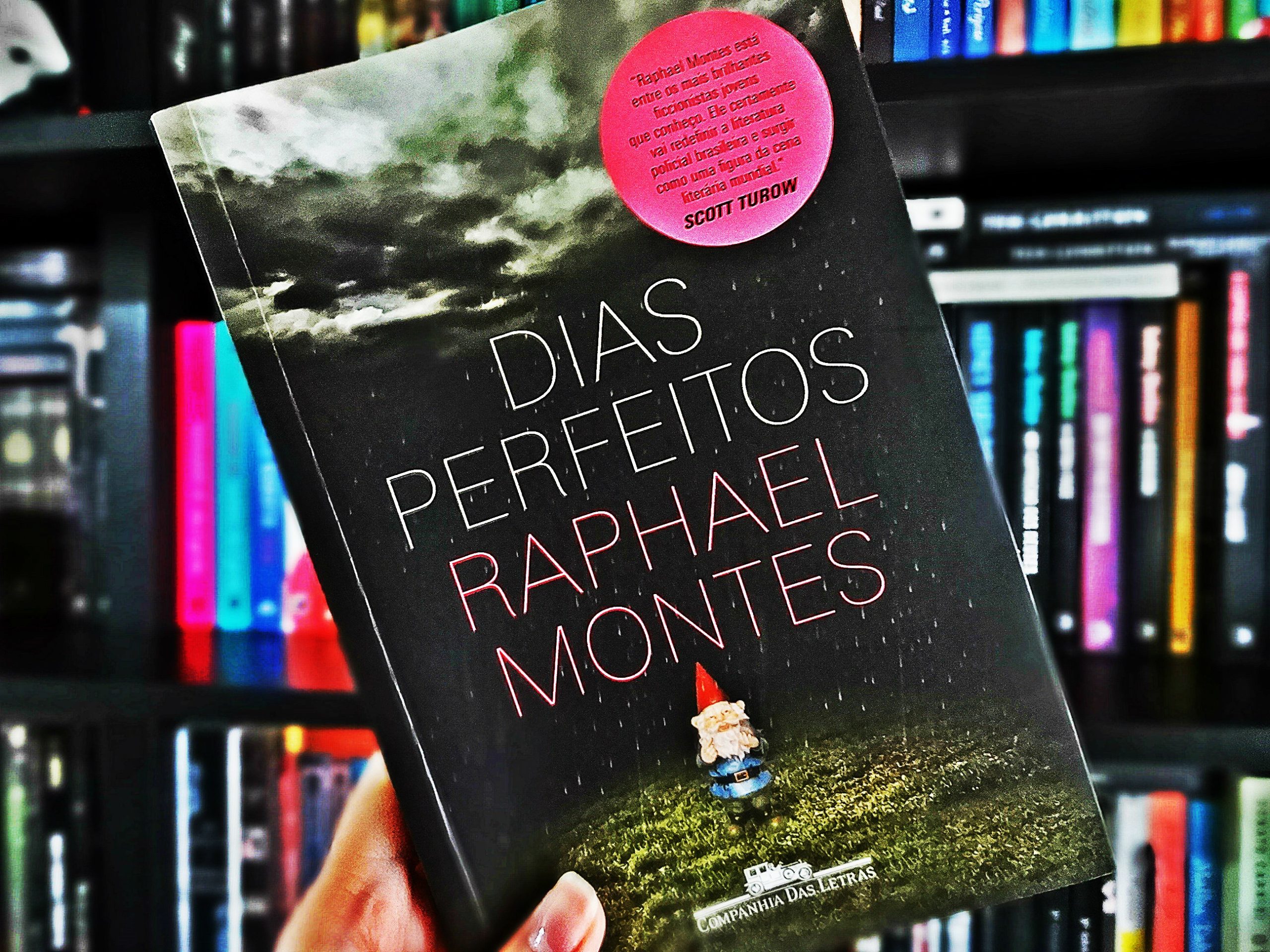 Dias Perfeitos (2014)