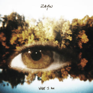 Capa do single What Am I, de Zayn Malik