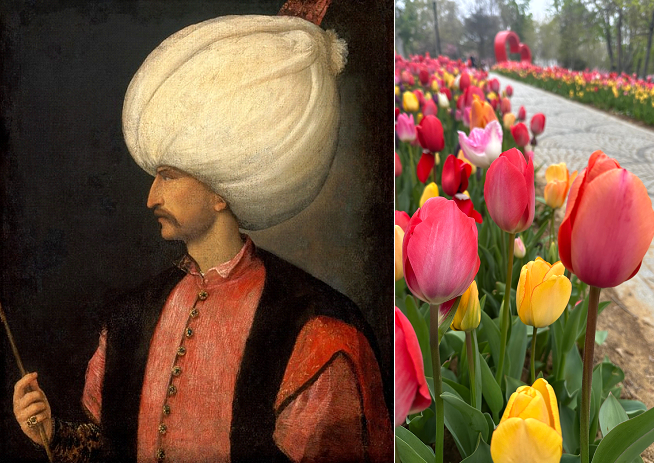 Foto de um turbante e tulipas.