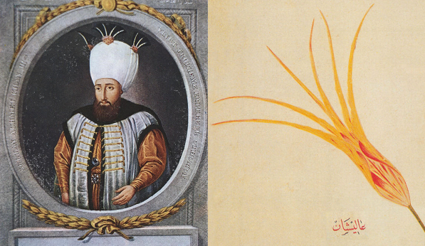 Foto do sultão Ahmet III e um desenho antigo de uma tulipa.