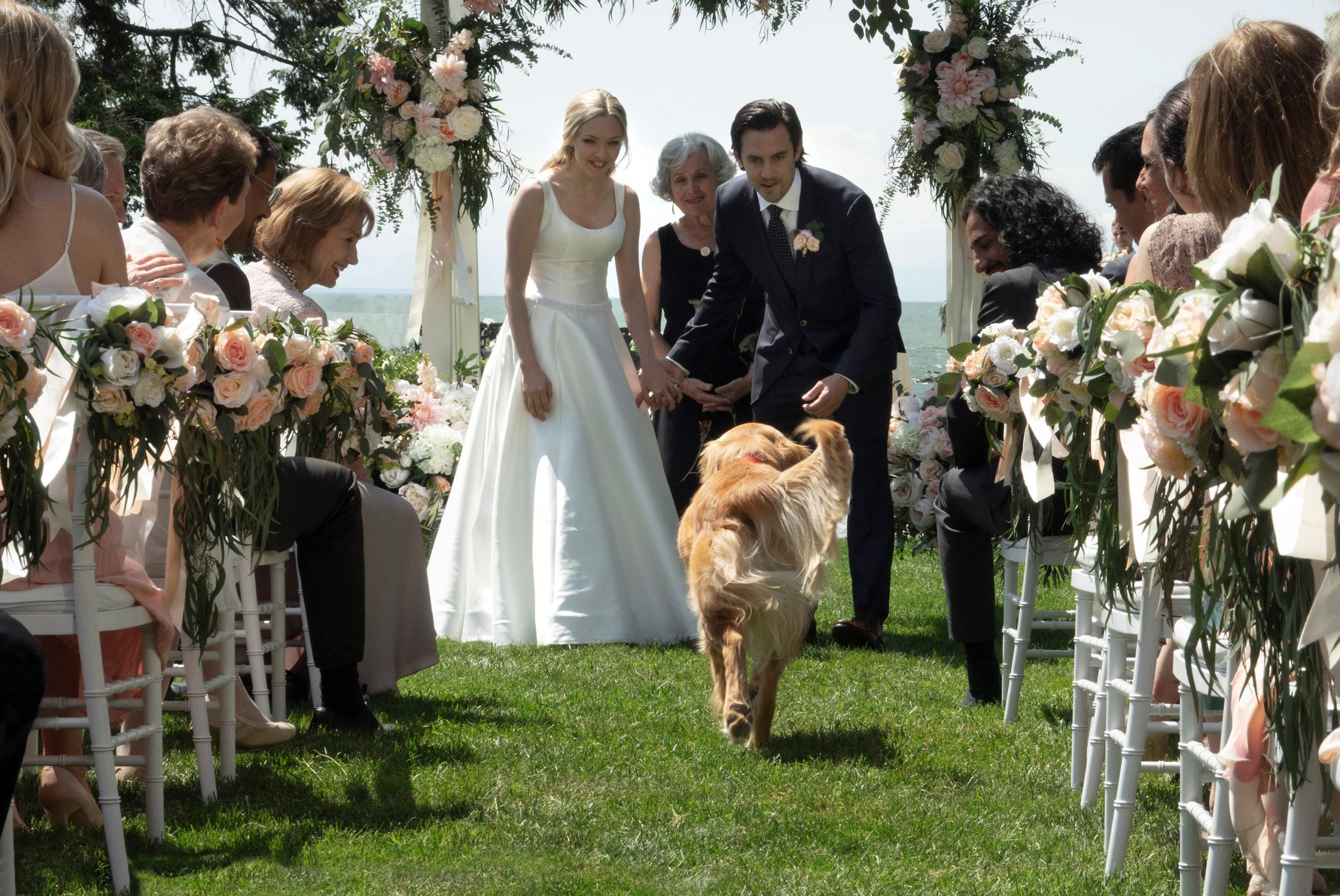 Meu Amigo Enzo, que chega ao streaming em agosto