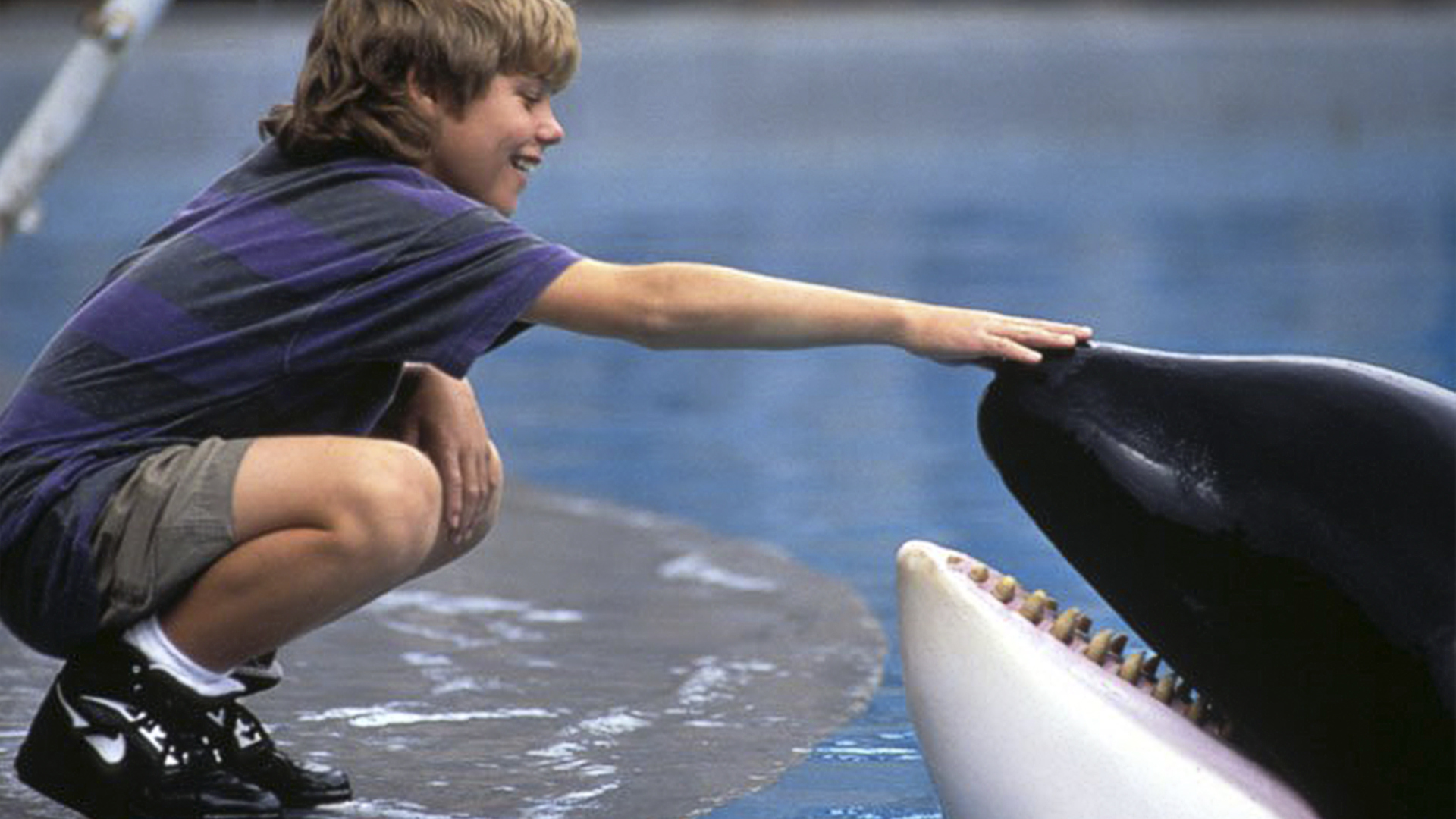 Free Willy