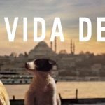 Vida de Cão, documentário que acompanha a jornada de cães de rua em busca de segurança, estreia em 2...
