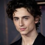 Especial Aniversário | Top 7 filmes do Timothée Chalamet para comemorar o aniversário do ator