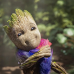 groot