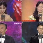 Baeksang Arts Awards