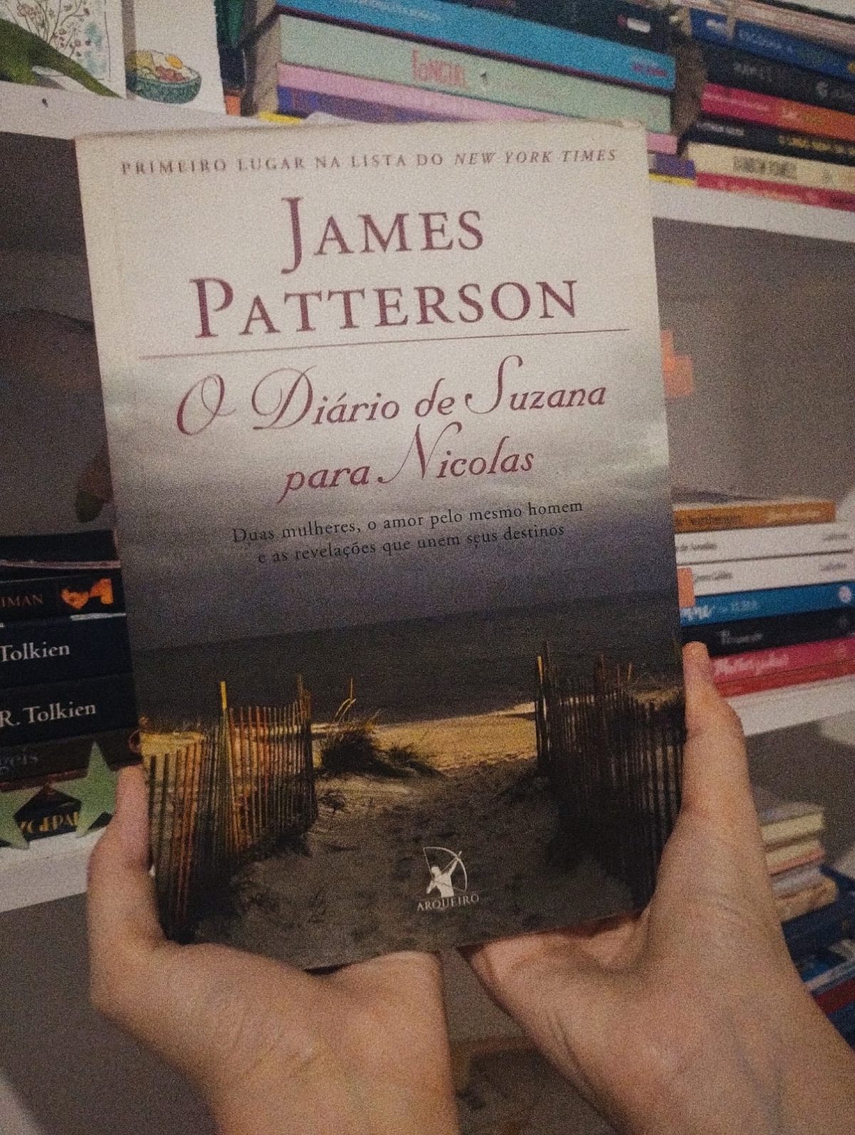 Livro O diário de Suzanna Para Nicolas James Petterson