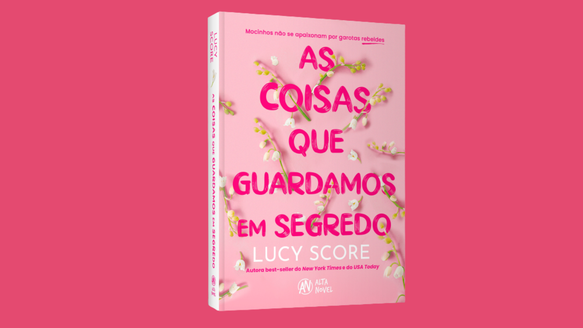 As Coisas que Guardamos em Segredo: a sequência de best-seller