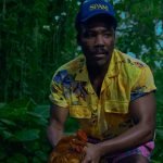 Bando Stone And The New World: confira novo álbum de Childish Gambino