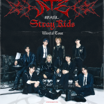 Boy group Stray Kids anuncia show no Brasil