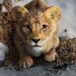 Confira a tracklist divulgada de Mufasa: O Rei Leão