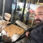 Cenk Boğatur