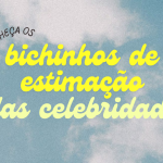 bichinhos de estimação