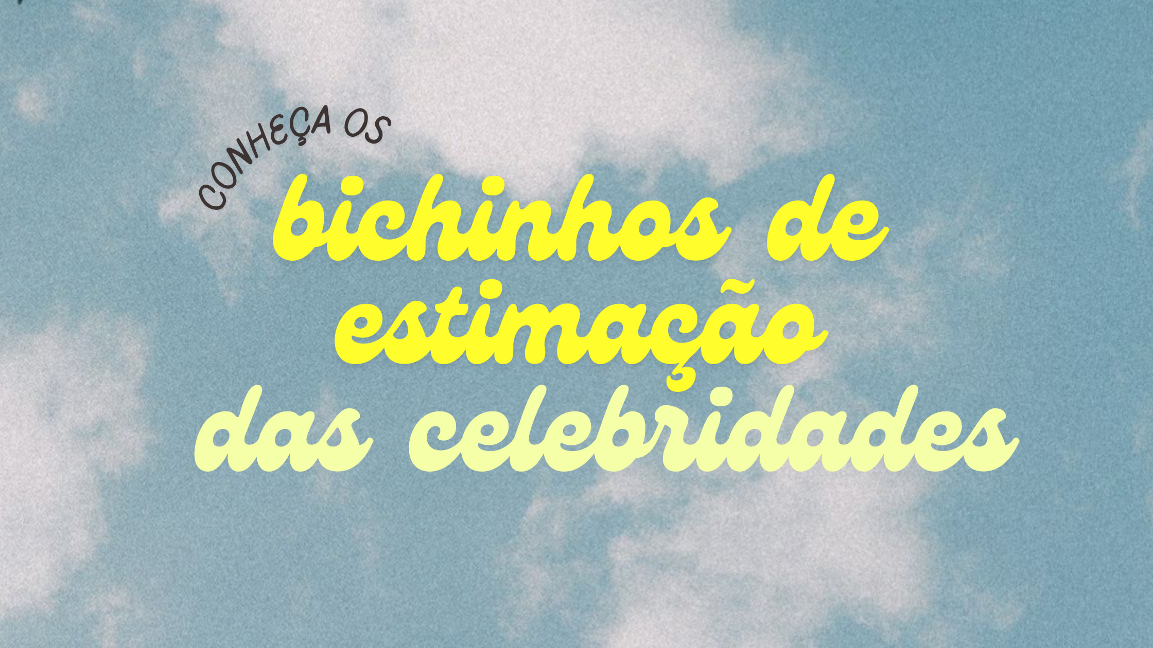 bichinhos de estimação