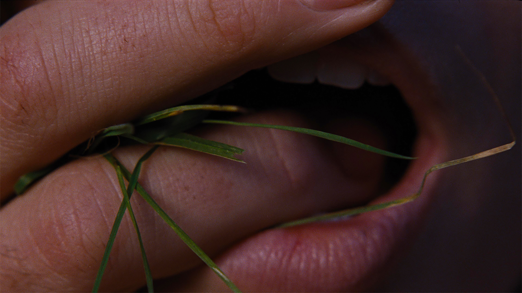 O Morro dos Ventos Uivantes