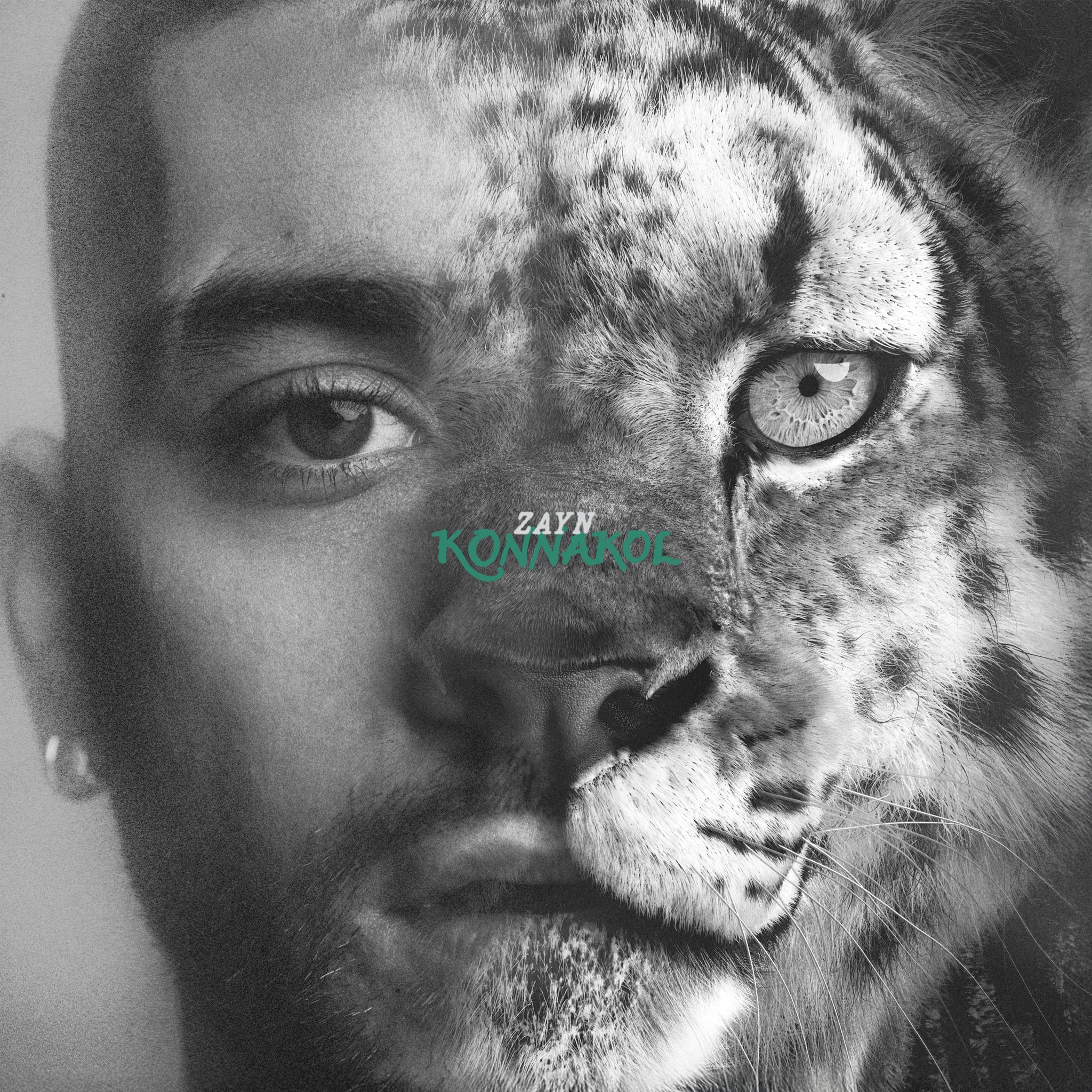Zayn anuncia turnê mundial