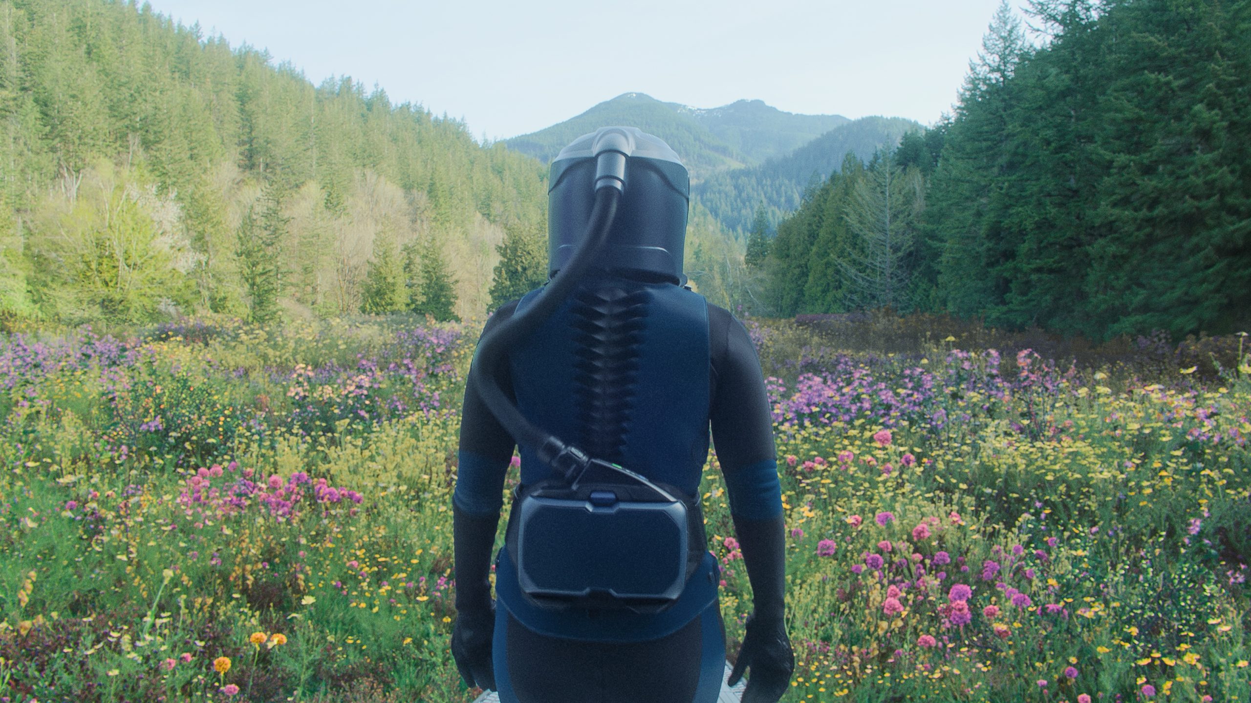 Cena com campo florido do filme Em Um Piscar de Olhos