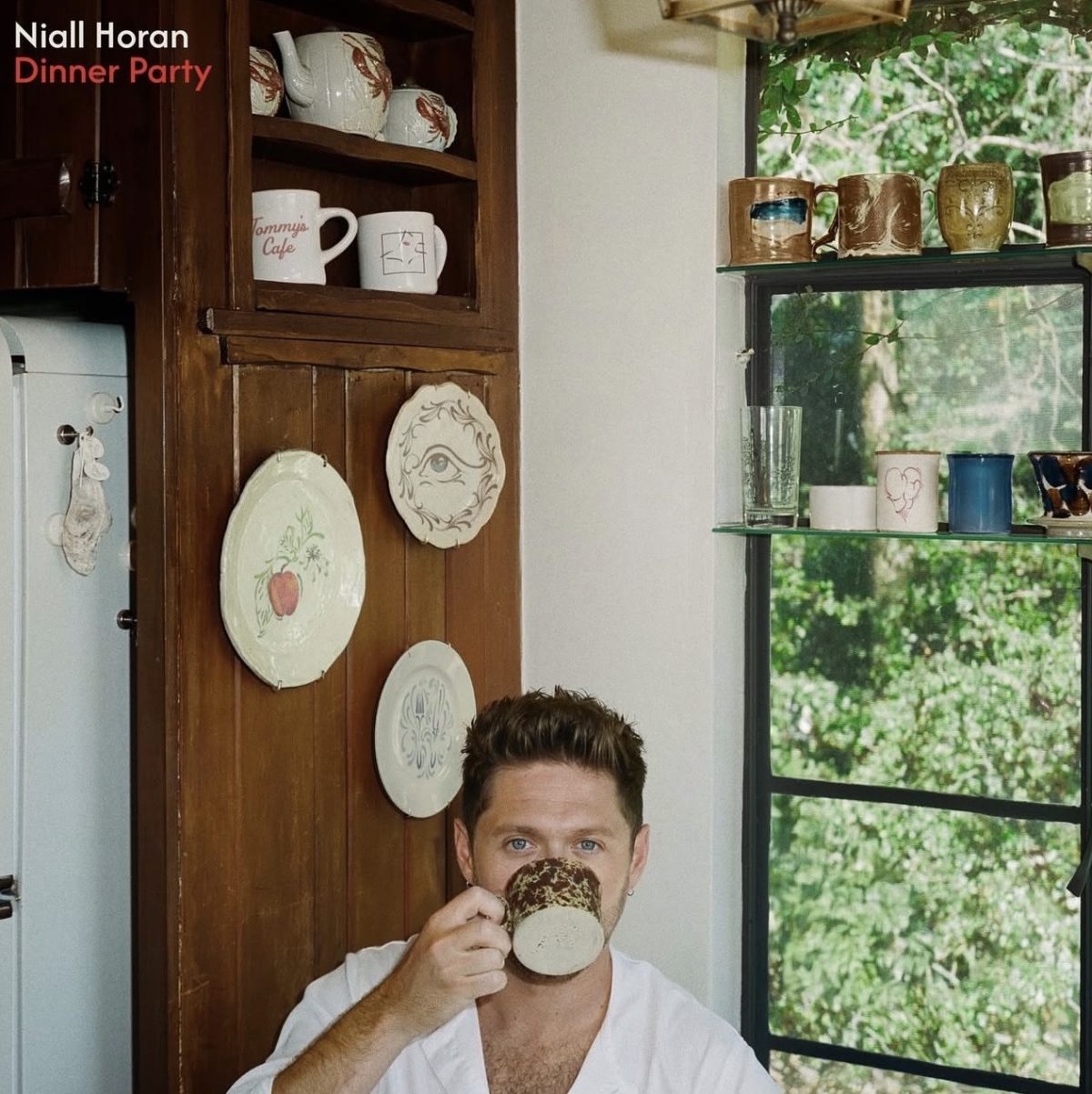 Niall Horan capa do álbum Dinner Party