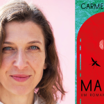 Entrevista | Carmen Stephan: Malária, autoficção e como enxergamos a nossa própria mortalidade