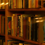 Quando a literatura coloca em palavras aquilo que sentimos