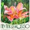 Ney Matogrosso